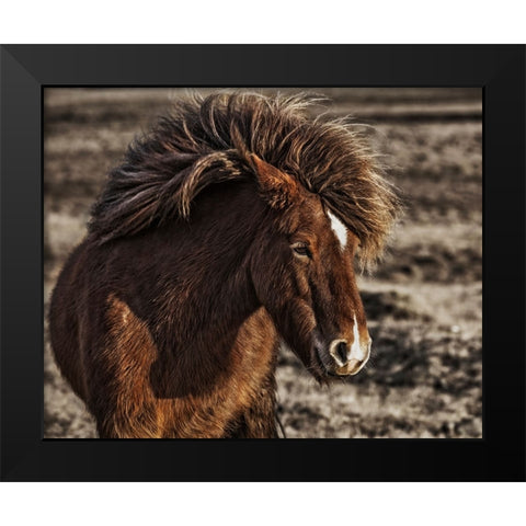Windblown Black Modern Wood Framed Art Print by Ingibergsson, Bragi
