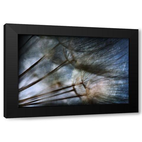 Untitled Black Modern Wood Framed Art Print by Grambone, Antonio