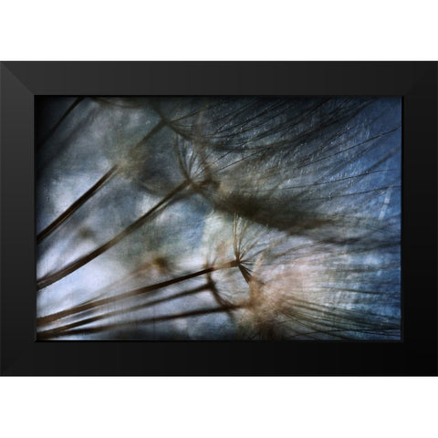 Untitled Black Modern Wood Framed Art Print by Grambone, Antonio