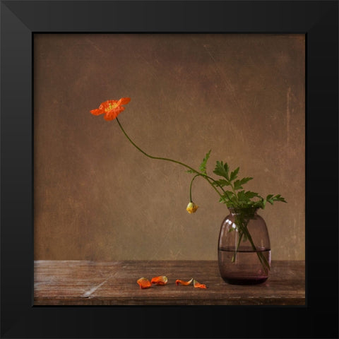 A Story With Orange Poppies Black Modern Wood Framed Art Print by Bunkova, Galina