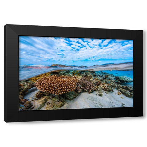 Into The Lagoon! Black Modern Wood Framed Art Print by Gabriel, Barathieu