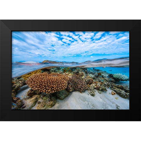 Into The Lagoon! Black Modern Wood Framed Art Print by Gabriel, Barathieu