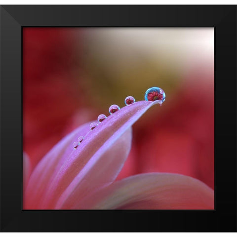 Behind Closed Eyes... Black Modern Wood Framed Art Print by Nan, Juliana