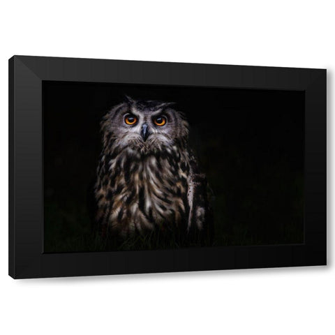 Prince Of The Night Black Modern Wood Framed Art Print by Benezech, Martine