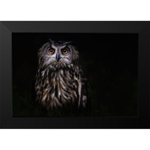 Prince Of The Night Black Modern Wood Framed Art Print by Benezech, Martine