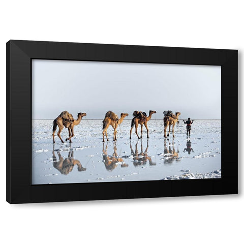Reflections Of An Ancient Life Black Modern Wood Framed Art Print by Cole, Trevor