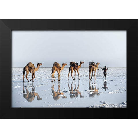Reflections Of An Ancient Life Black Modern Wood Framed Art Print by Cole, Trevor
