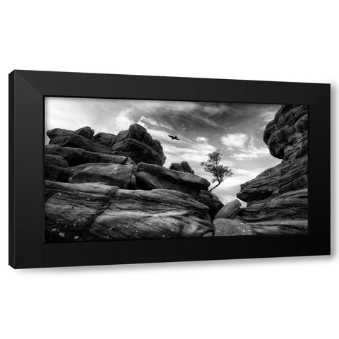 Brimham Black Modern Wood Framed Art Print with Double Matting by Therion