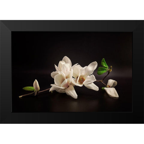 Magnolia Black Modern Wood Framed Art Print by Tony08