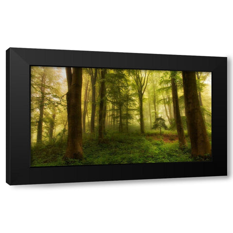 The Little Tree Black Modern Wood Framed Art Print by Londal, Leif