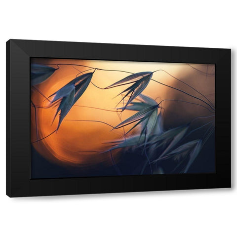 Sunset Black Modern Wood Framed Art Print by Lazarov, Dimitar
