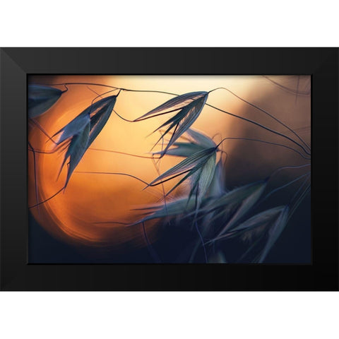 Sunset Black Modern Wood Framed Art Print by Lazarov, Dimitar