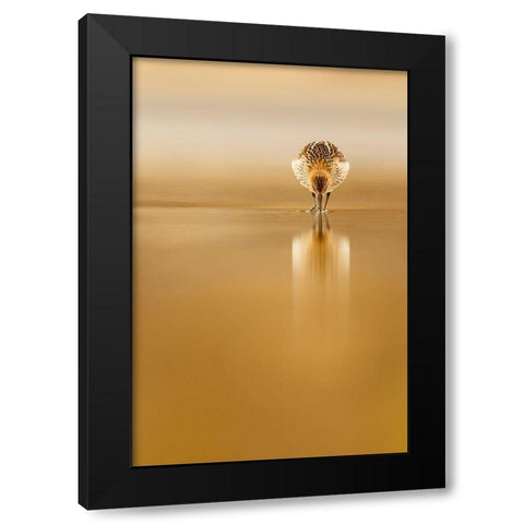 Dunlin Reflection Black Modern Wood Framed Art Print by Suarez, Mario