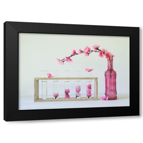 Petal Collecting Black Modern Wood Framed Art Print by Hammer, Jacqueline