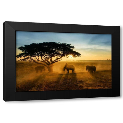 Morning Elephant Home Town Black Modern Wood Framed Art Print with Double Matting by Whanset, Saravut