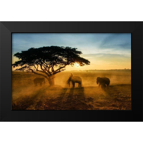 Morning Elephant Home Town Black Modern Wood Framed Art Print by Whanset, Saravut