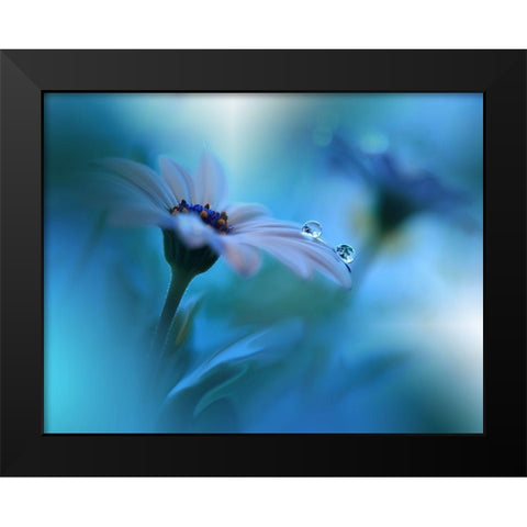 Beyond The Visible... Black Modern Wood Framed Art Print by Nan, Juliana