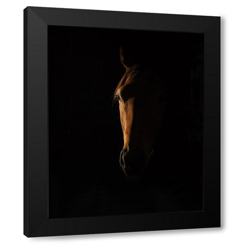 The Beauty of The Thoroughbred Black Modern Wood Framed Art Print with Double Matting by Lee Chapman, Sharon