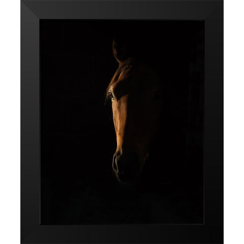 The Beauty of The Thoroughbred Black Modern Wood Framed Art Print by Lee Chapman, Sharon
