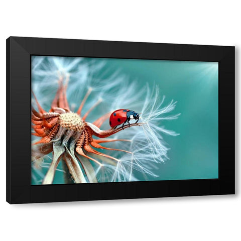 Freedoom Black Modern Wood Framed Art Print with Double Matting by Ozturk, Mustafa