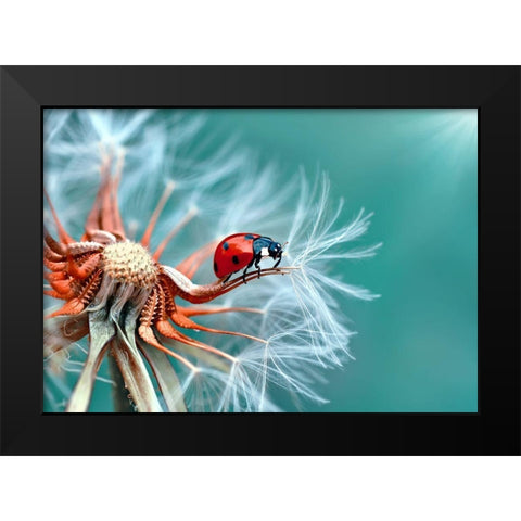 Freedoom Black Modern Wood Framed Art Print by Ozturk, Mustafa