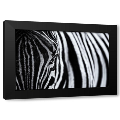 The Look Of Nature Black Modern Wood Framed Art Print by Tagliarino, Marco