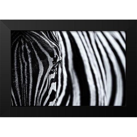 The Look Of Nature Black Modern Wood Framed Art Print by Tagliarino, Marco