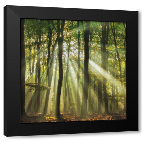 Sunny Start To The Day ........ Black Modern Wood Framed Art Print by Haaksma, Piet