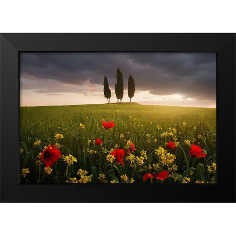 Blooming Tuscany Black Modern Wood Framed Art Print by Rericha, Daniel