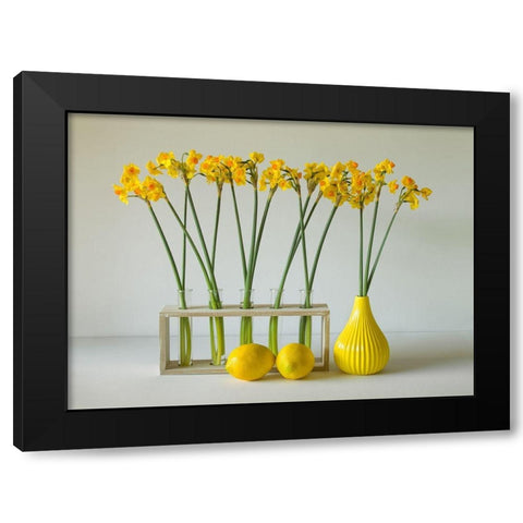 The Freshness Of Spring Black Modern Wood Framed Art Print by Hammer, Jacqueline