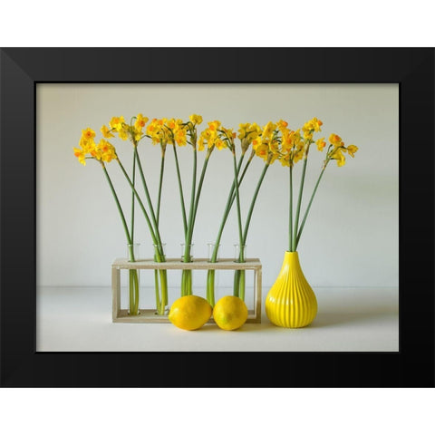 The Freshness Of Spring Black Modern Wood Framed Art Print by Hammer, Jacqueline