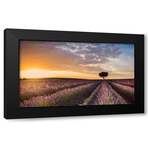 Destination Lavender Black Modern Wood Framed Art Print by Ros, Fran