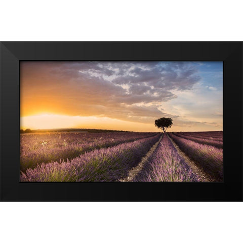 Destination Lavender Black Modern Wood Framed Art Print by Ros, Fran