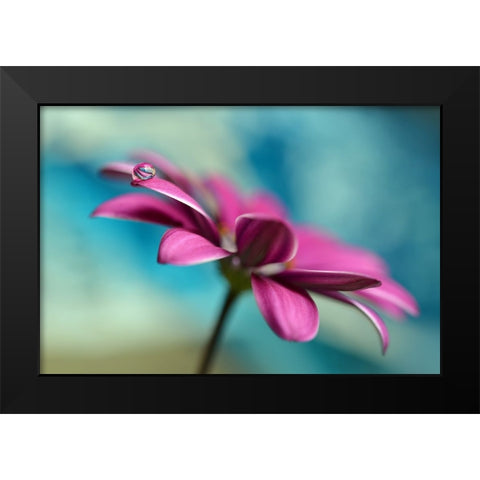 Pattern Drop Black Modern Wood Framed Art Print by Westum, Heidi