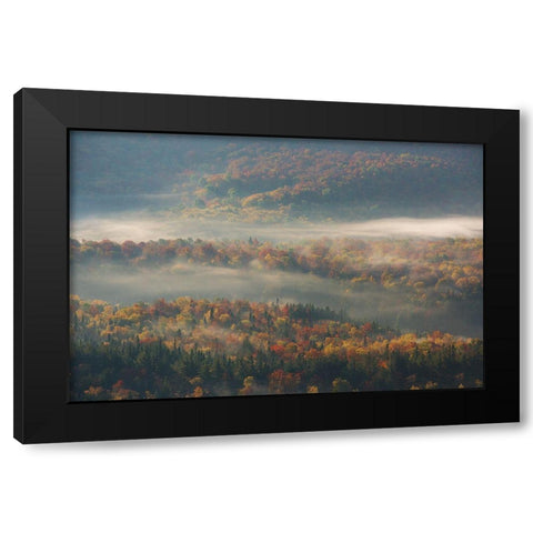 Misty Morning Black Modern Wood Framed Art Print by Li, Austin