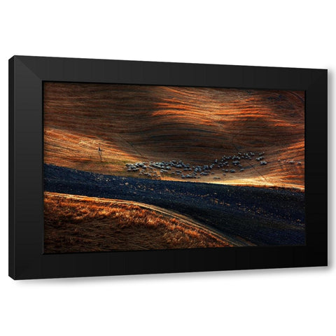 Il Gregge 3 Black Modern Wood Framed Art Print with Double Matting by Della Latta, Massimo