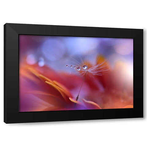 Dance In The Light... Black Modern Wood Framed Art Print with Double Matting by Nan, Juliana