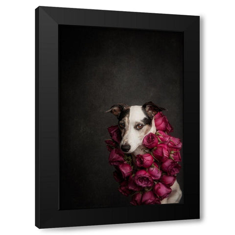 Rose Queen Ii Black Modern Wood Framed Art Print by Willers, Heike