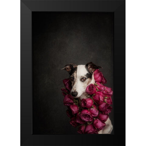 Rose Queen Ii Black Modern Wood Framed Art Print by Willers, Heike