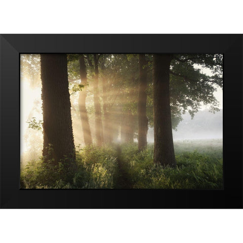 First Day Of Summer Black Modern Wood Framed Art Print by Croce, Vincent