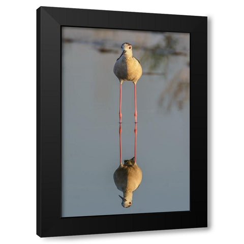 Mirror Black Modern Wood Framed Art Print by Tamajo, Massimo