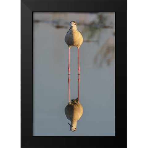 Mirror Black Modern Wood Framed Art Print by Tamajo, Massimo