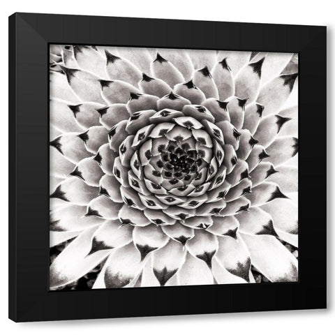 Untitled Black Modern Wood Framed Art Print by Pandya, Hardik