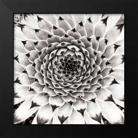 Untitled Black Modern Wood Framed Art Print by Pandya, Hardik