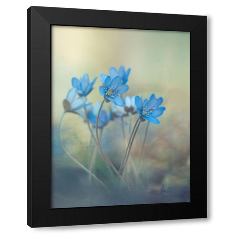 Memories Of A Spring Black Modern Wood Framed Art Print with Double Matting by Zandersons, Davis
