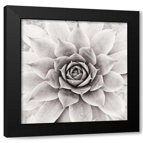 Untitled Black Modern Wood Framed Art Print with Double Matting by Pandya, Hardik