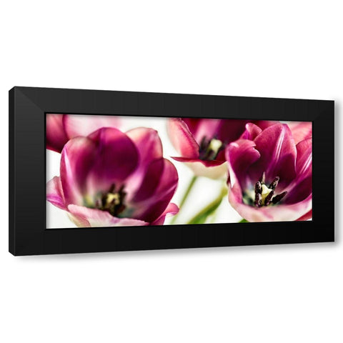 Tulips Iv Black Modern Wood Framed Art Print by Bsmart