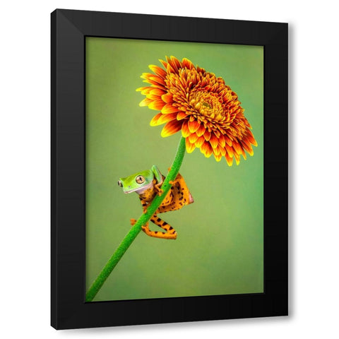 Just Hanging Around Black Modern Wood Framed Art Print by Doyle, Renee