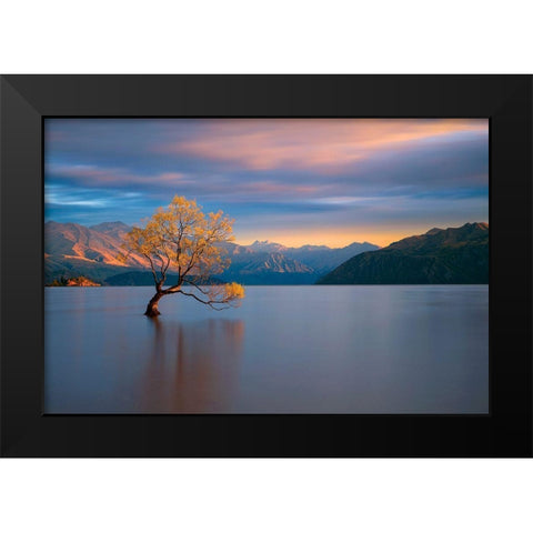 Morning Glow Black Modern Wood Framed Art Print by Doyle, Renee