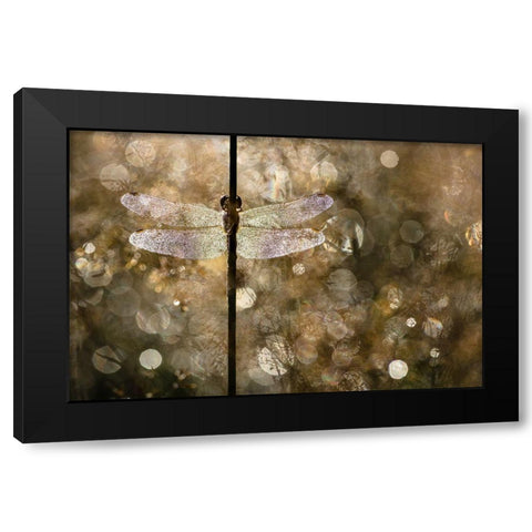 Morning Light Black Modern Wood Framed Art Print by Blanken, Rob